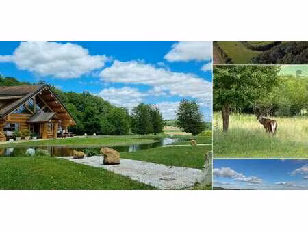 propriété avec jardin migennes (89)