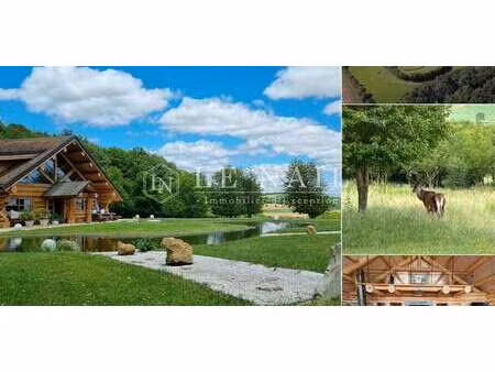 propriété avec piscine et jardin migennes (89)