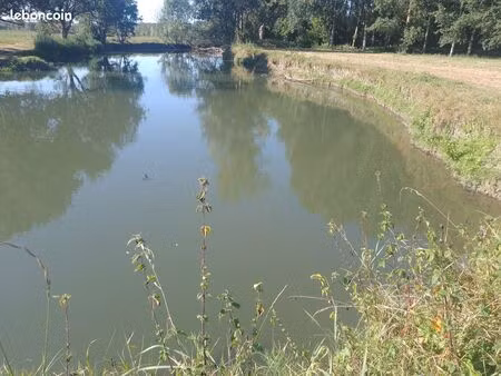 location coup pêche