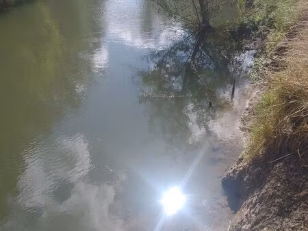 location coup pêche