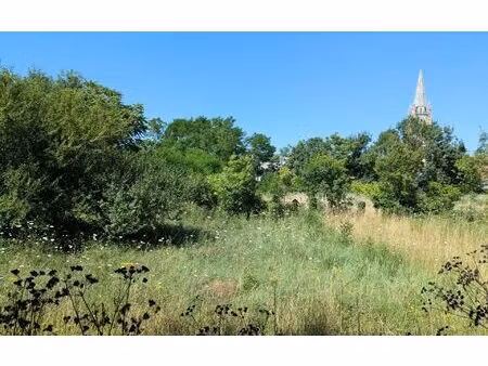 terrain marennes m² t- à vendre  201 500 €