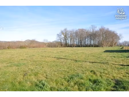 vente terrain 1000 m² à mazères-sur-salat (31260)  33 000 €