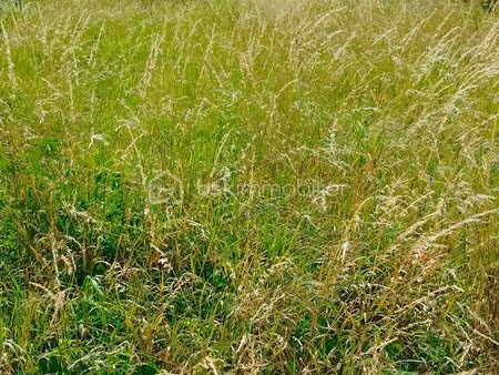 terrain de 1 100 m² à alluyes