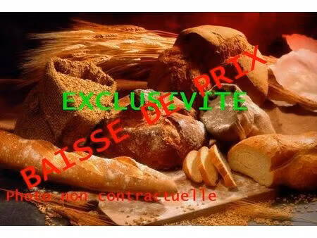 vente commerce 120 m² chambéry (73000)