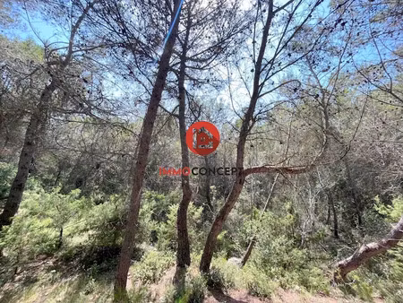 vente terrain 14950 m² à laudun-l'ardoise (30290)  19 000 €