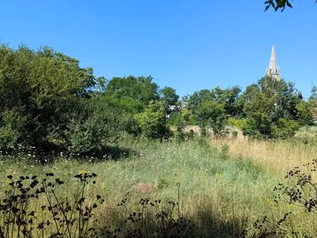 vente terrain 1884 m² marennes-hiers-brouage (17320)