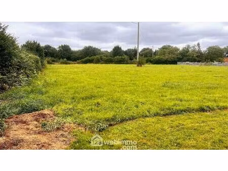 vente terrain 971 m² savigny (50210)