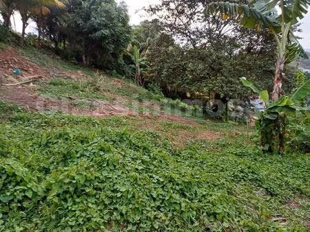 terrain a sainte marie