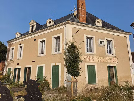 vente maison 8 pièces 195 m² à villentrois (36600)  98 000 €