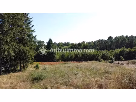 vente terrain 2921 m2 à neuvic