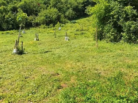 prête emplacement pour ruche