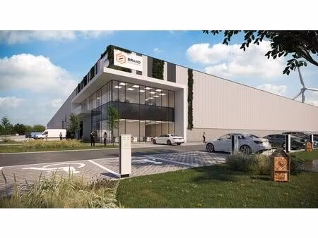 immeuble logistique à louer à lokeren
