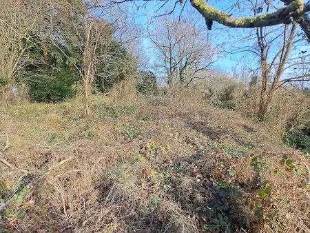 vente terrain 1367 m² à la fleche (72200)  23 514 €