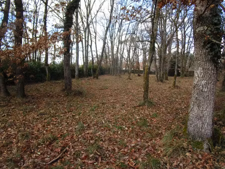 vente terrain 2053 m² à saint-martial-d'artenset (24700)  49 500 €