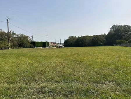 vente terrain 1100 m² à naveil (41100)  82 000 €