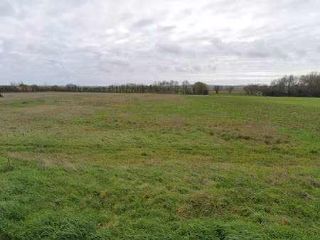 vente terrain 1081 m² à muron (17430)  96 900 €