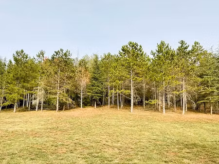 vente terrain 3500 m² à réalmont (81120)  110 000 €