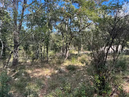 vente terrain 1137 m² à néoules (83136)  160 000 €