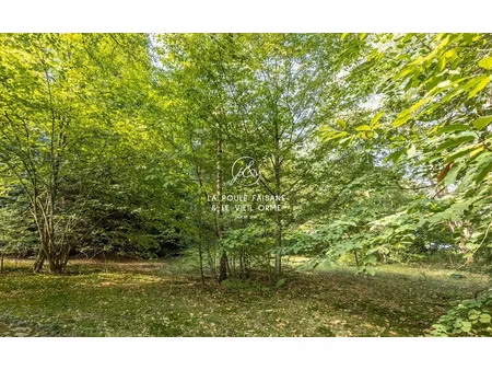 vente terrain 550 m² à montfort-l'amaury (78490)  299 000 €