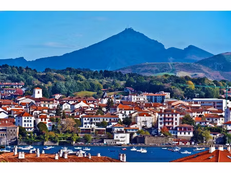 vente locaux professionnels 225 m² à hendaye (64700)  567 000 €