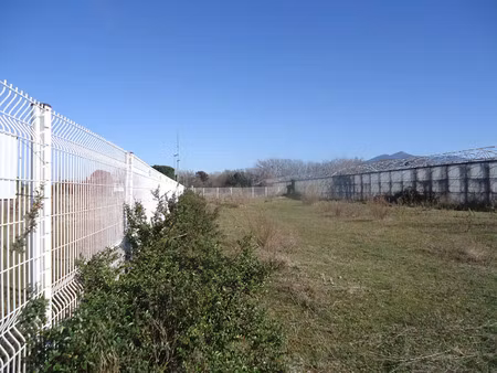vente terrain 5665 m² céret (66400)