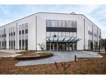 plateau de bureaux casco disponible immédiatement