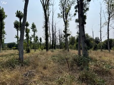 vente terrain grignols (33690)