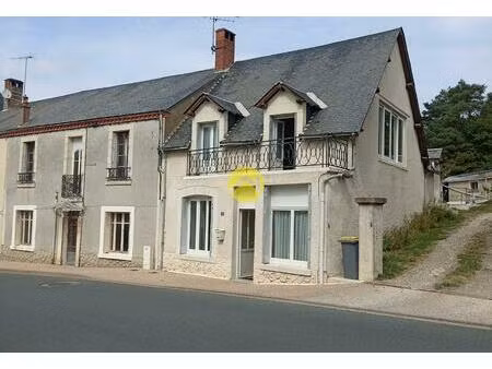 vente maison 10 pièces 297 m² graçay (18310)