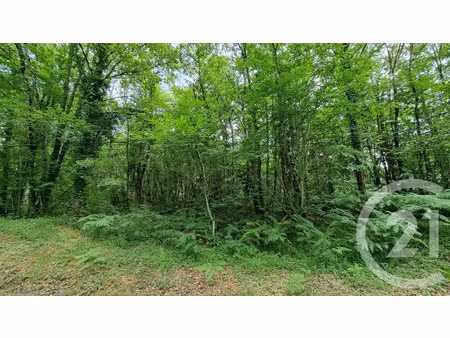 vente terrain à batir 2240 m² à milhac (46300)  29 000 €