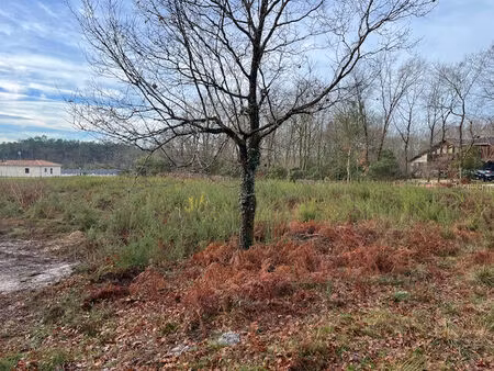 vente terrain 3768 m² gourbera (40990)