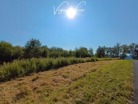 terrain constructible 3.000 m² - 19130 louignac