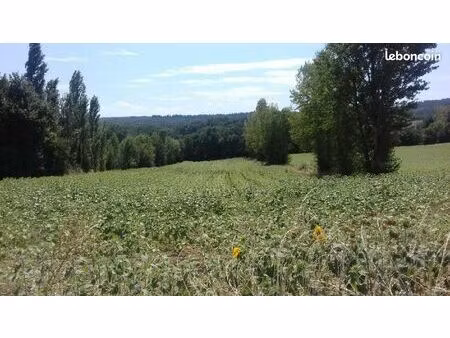 terrain à bâtir 5000m2