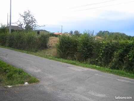 terrain constructible