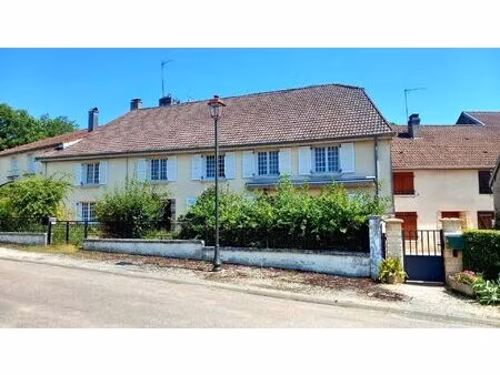 vente maison 11 pièces 289 m² choiseul (52240)
