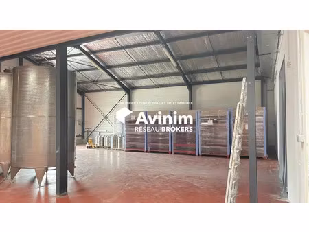 local d'activités avec show room