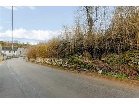 terrain à bâtir à vendre à thynes - dinant