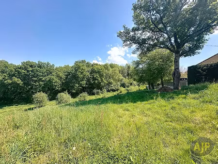 vente terrain 5198 m² à sèvremoine (49450)  126 900 €