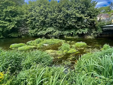 vente maison 8 pièces 266 m² à thivars (28630)  395 000 €