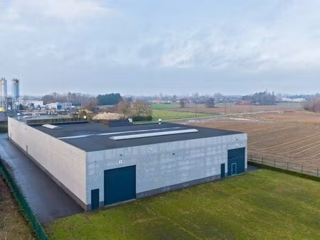 bien professionnel à louer à kruishoutem € 12.500 (kv5mh) - kmo vastgoed | zimmo