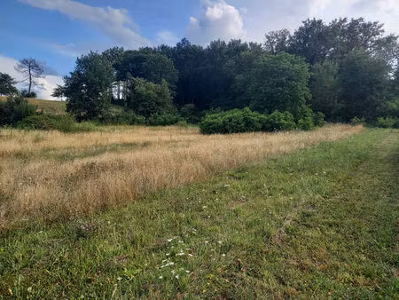 terrain horsarrieu 2363 m2