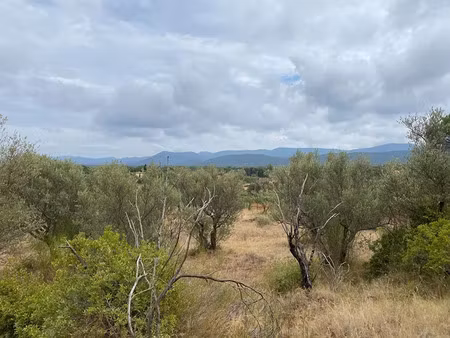 vente terrain 586 m² à gonfaron (83590)  125 000 €