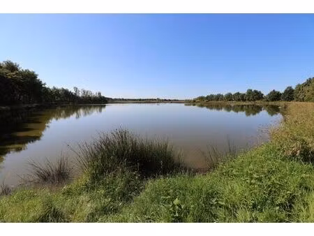 vente terrain 217590 m² rosnay (36300)