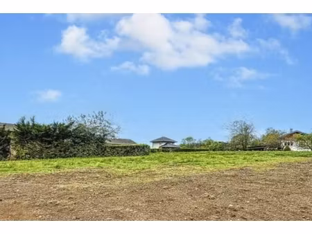 annonce terrain à vendre