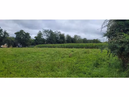 vente terrain 1229m2 serres-sainte-marie 64170 - 69500 € - surface privée