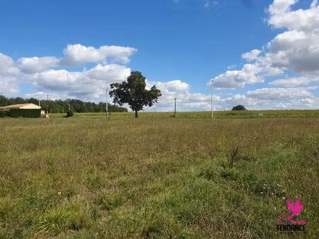 terrain diffus de 1219 m² dans joli cadre.