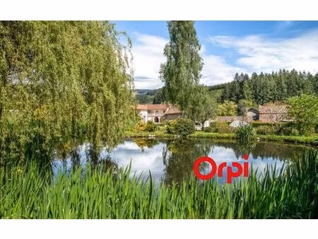 maison saint-vincent-de-reins m² t-8 à vendre  395 000 €