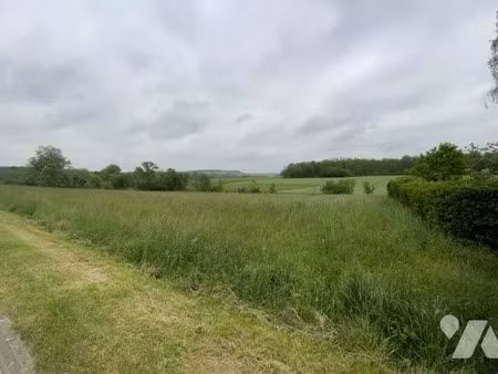 vente terrain à batir 833 m² à saint-euphraise-et-clairizet (51390)  95 000 €