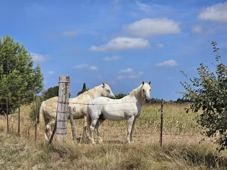 saint gilles terrain agricole