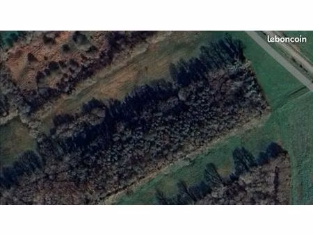 terrain boisé