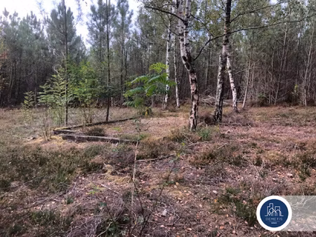 terrain de loisir unique à deux pas du circuit des 24 heures